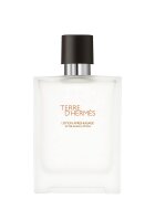 HERMÈS Terre D'Hermes After Shave Lotion Losjon Po Britju 100 ml