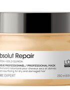 L'Oreal Professionnel Paris Absolut Repair Professional Mask Instant Resurfacing For Dry And Damaged Hair Maska Za Lase 250 ml