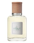 Ralph Lauren Polo Earth Eau De Toilette Toaletna Voda 40 ml