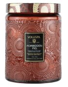 VOLUSPA Forbidden Fig Large Jar Candle Dišeča Sveča 510 g