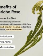 Abib Collagen Eye Patch Jericho Rose Jelly blazinice za pod oči proti gubam zabuhlosti in temnim kolobarjem 60 kos