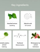 Abib Heartleaf Mild Foam Cleanser pomirjevalna čistilna pena za problematično kožo akne 150 ml