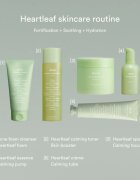Abib Heartleaf Mild Foam Cleanser pomirjevalna čistilna pena za problematično kožo akne 150 ml