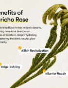 Abib Jericho Rose Mist Serum Glow Spray posvetlitveni serum za obraz v pršilu 100 ml