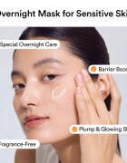 Abib Rice Probiotics Overnight Mask Barrier Jelly nočna maska za obraz za intenzivno vlažnost 80 ml
