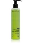Académie Scientifique de Beauté Pure globoko čistilni gel za mastno kožo 200 ml