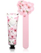 Accentra Essential Botanicals Hand & Nail Cream darilni set za roke in nohte 3 kos