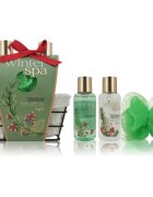 Accentra Winter Spa Bath Gift Set darilni set za kopel 1 kos