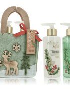 Accentra Winter Spa Hand Care Set darilni set za roke 1 kos