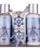 Accentra Winter Wonderland darilni set za kopel dišave White Tea & Coconut