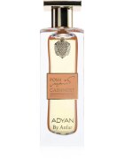 Adyan Posh Cashmere parfumska voda uniseks 60 ml
