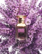 Afnan Violet Bouquet parfumska voda za ženske 80 ml
