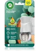Air Wick Blue Eucalyptus & Cedarwood električni osvežilec zraka s polnilom 19 ml