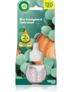 Air Wick Blue Eucalyptus & Cedarwood polnilo za aroma difuzor 19 ml