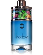 Ajmal II Pour Homme parfumska voda za moške 75 ml