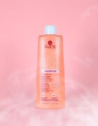 Alama Professional Anti Frizz Gloss Shampoo šampon proti krepastim lasem 500 ml