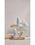 Alama Professional Zero Stress Sebum Regulating Shampoo šampon za mastno lasišče 300 ml