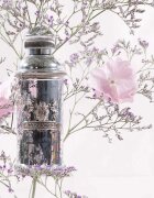 Alexandre.J The Collector: Silver Ombre parfumska voda uniseks 100 ml