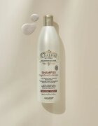 Alfaparf Milano Il Salone Milano Magnificent šampon za barvane lase 500 ml