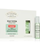 Alfaparf Milano Il Salone Milano Scalp System poživljajoči serum proti izpadanju las 6x13 ml