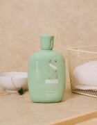 Alfaparf Milano Semi Di Lino Scalp Rebalance šampon za mastno lasišče 250 ml