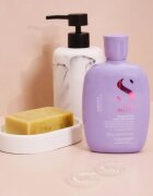 Alfaparf Milano Semi di Lino Smooth šampon za glajenje las za neobvladljive lase 250 ml