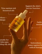 Alpha-H Golden Haze olje za obraz 25 ml