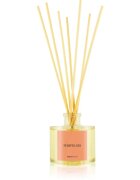Ambientair COLOURS Pomelo aroma difuzor s polnilom 100 ml