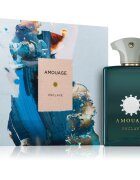 Amouage Enclave parfumska voda uniseks 100 ml
