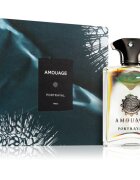 Amouage Portrayal parfumska voda za moške 100 ml