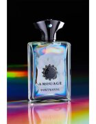 Amouage Portrayal parfumska voda za moške 100 ml