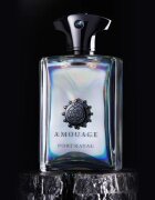 Amouage Portrayal parfumska voda za moške 100 ml