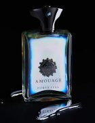 Amouage Portrayal parfumska voda za moške 100 ml