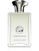 Amouage Reflection parfumska voda za moške 100 ml