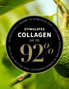 Antipodes Avocado Pear Collagen-Boosting Night Cream nočna hranilna krema za obraz 15 ml