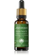 Antipodes Divine Face Oil Rosehip & Avocado Oil zaščitni serum proti prvim znakom staranja kože 30 ml