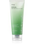 Anua Heartleaf Quercetinol Pore Deep Cleansing Foam globinsko čistilna pena za mastno in mešano kožo 150 ml