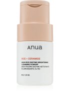 Anua Rice Enzyme Brightening Cleansing Powder nežni čistilni puder za obraz 40 g