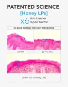 Apivita Bee Tech Concentrates HA5 Honey Repair Serum revitalizacijski serum s hialuronsko kislino 30 ml