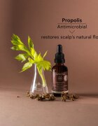 Apivita Dandruff Relief Oil nega lasišča proti mastnemu prhljaju 50 ml