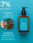 Apivita Hand Care Mild Hand Wash nežno tekoče milo za roke 300 ml