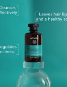 Apivita Oily Hair Oil Balance Shampoo globinsko čistilni šampon za mastno lasišče za krepitev in sijaj las 250 ml