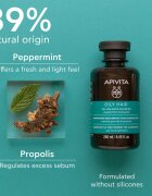 Apivita Oily Hair Oil Balance Shampoo globinsko čistilni šampon za mastno lasišče za krepitev in sijaj las 250 ml