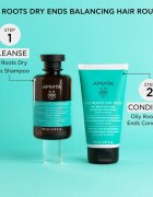 Apivita Oily Roots & Dry Ends set za mastno lasišče in suhe konice