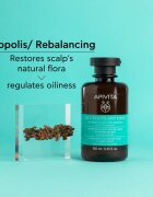 Apivita Oily Roots & Dry Ends Shampoo šampon za mastno lasišče in suhe konice las 250 ml