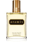 Aramis EDT toaletna voda za moške 110 ml