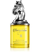 Armaf Bucephalus No. X parfumska voda uniseks 100 ml