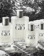 Armani Acqua di Giò toaletna voda polnilna za moške 100 ml
