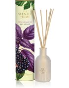 Ashleigh & Burwood London Elderberry & Purple Basil aroma difuzor s polnilom 150 ml