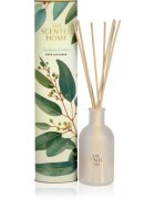 Ashleigh & Burwood London Eucalyptus & Vetiver aroma difuzor s polnilom 150 ml